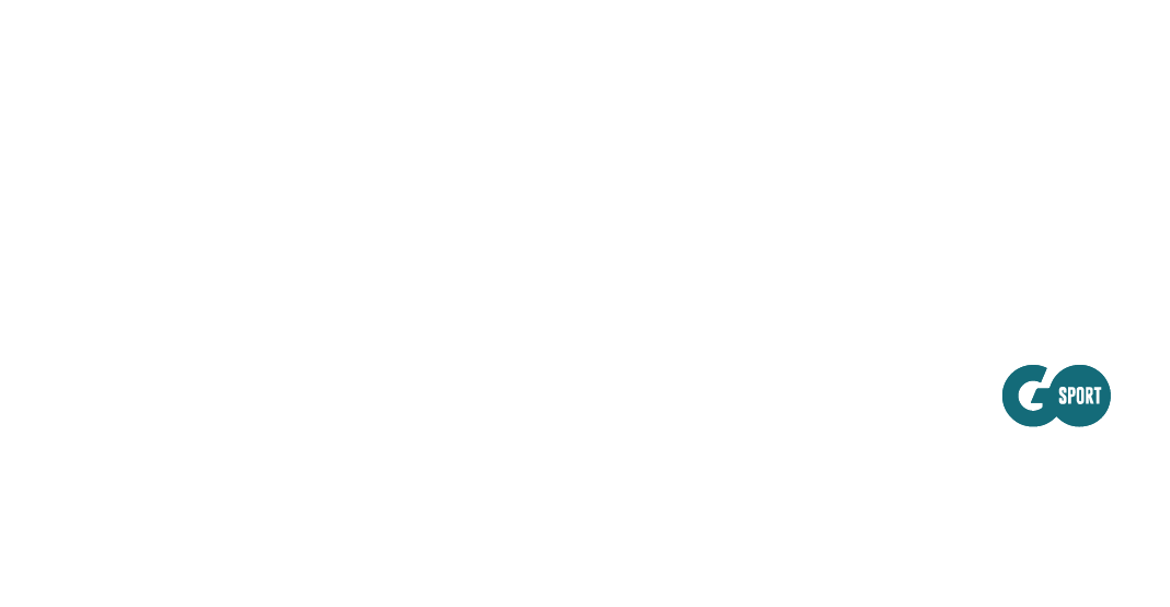 logo pour footer